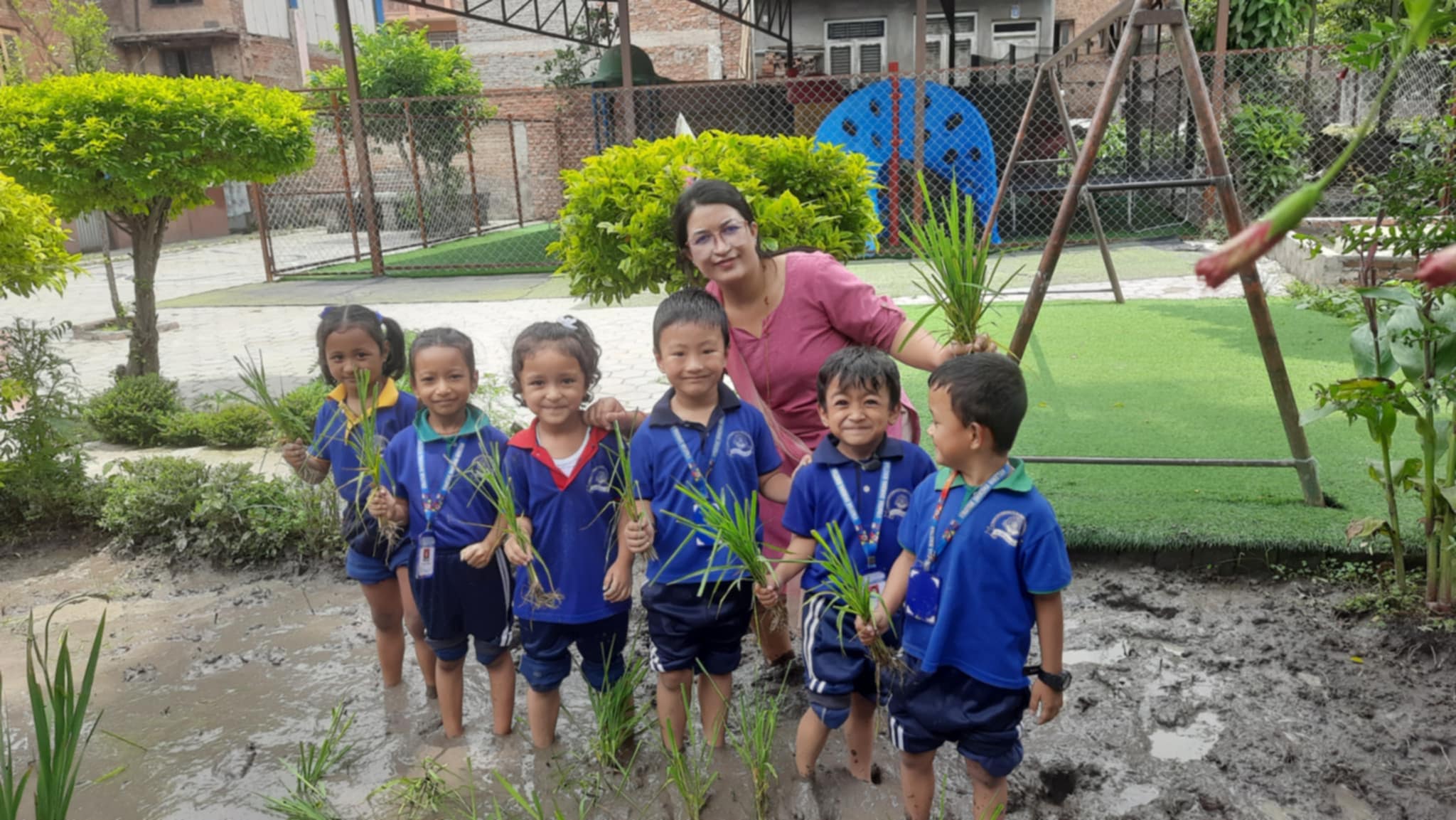 विनायकमा धान रोपाई कार्यक्रम