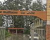 त्रिभुवन विश्वविद्यालयमा प्राध्यापकको लागि दरखास्त आव्हान