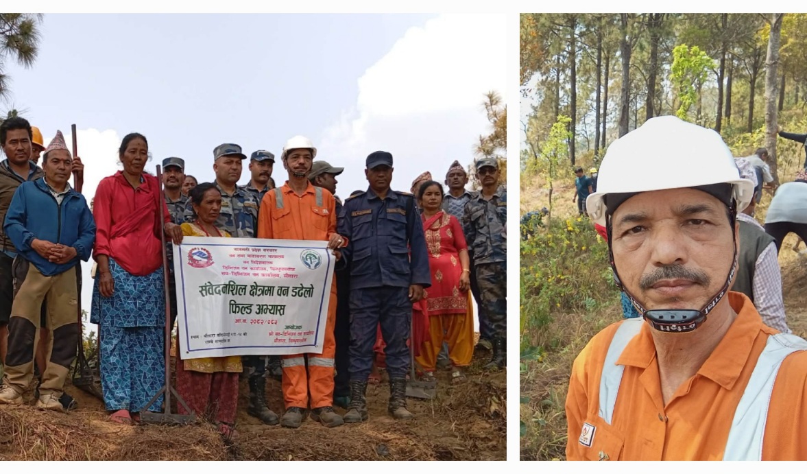 सामुदायिक वनका पहरेदार: शारदा प्रसाद चालिसे र उनको हरित अभियान
