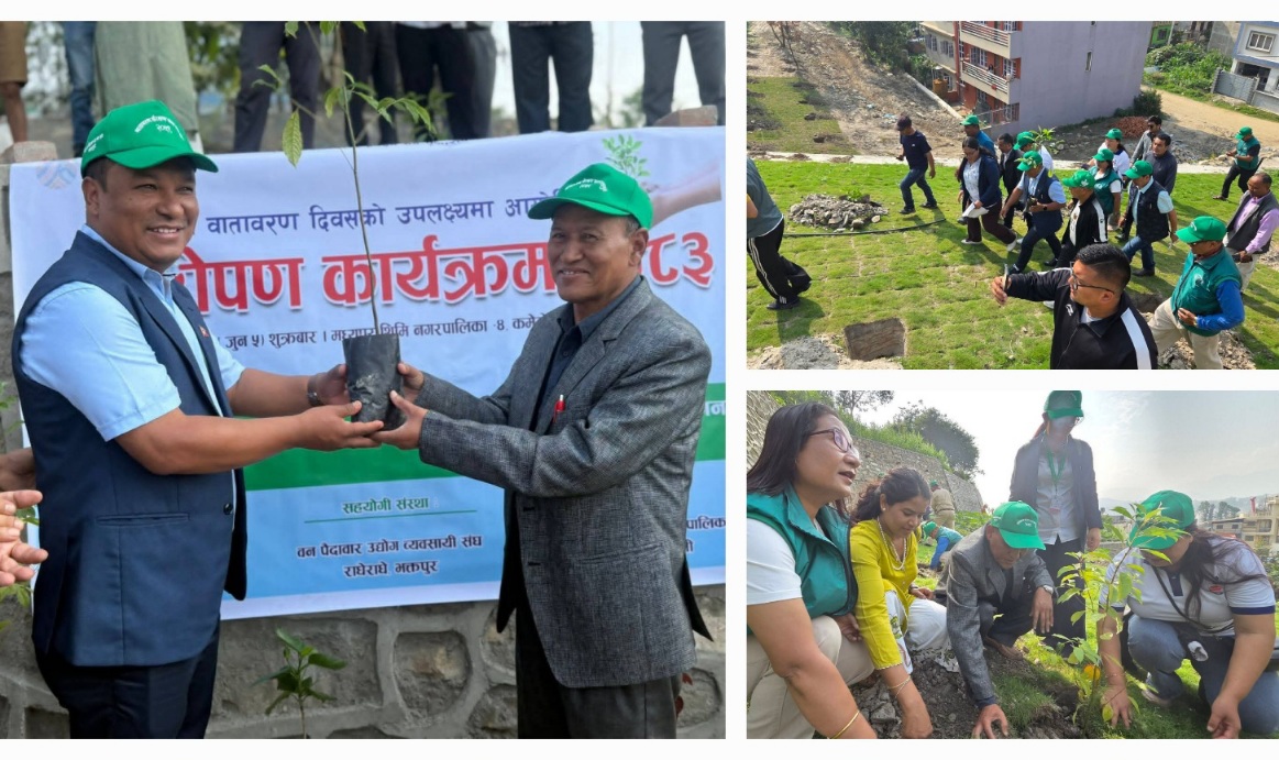 कमेरोटारमा विश्व वातावरण दिवसको अवसरमा वृक्षरोपण